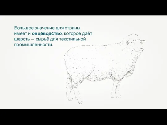 Большое значение для страны имеет и овцеводство, которое даёт шерсть — сырьё для текстильной промышленности.