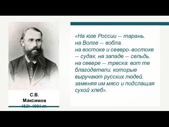 С.В. Максимов 1831–1901 гг. «На юге России — тарань, на