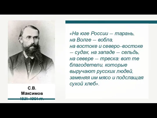 С.В. Максимов 1831–1901 гг. «На юге России — тарань, на Волге — вобла,