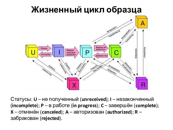 Жизненный цикл образца Статусы: U – не полученный (unreceived); I