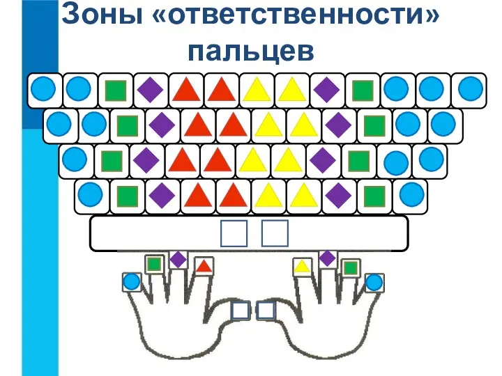 Зоны «ответственности» пальцев