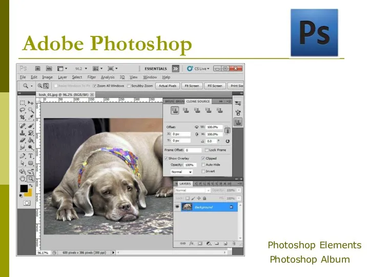 Adobe Photoshop Photoshop Elements Photoshop Album