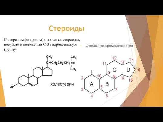 Стероиды Циклопентанпергидрофенантрен К стеринам (стеролам) относятся стероиды, несущие в положении С-3 гидроксильную группу.