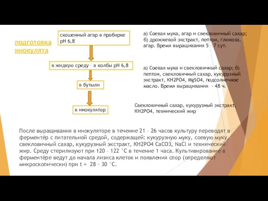 После выращивания в инокуляторе в течение 21 – 26 часов