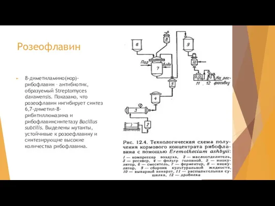 Розеофлавин 8-диметиламино(нор)-рибофлавин – антибиотик, образуемый Streptomyces davawensis. Показано, что розеофлавин