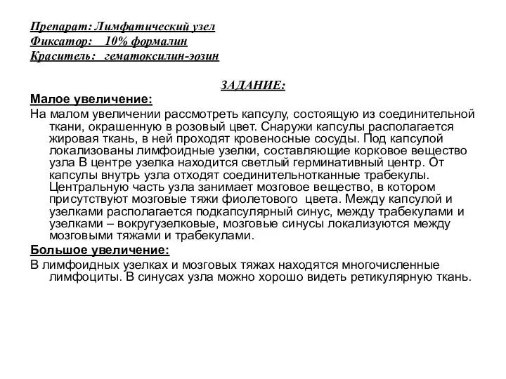 Препарат: Лимфатический узел Фиксатор: 10% формалин Краситель: гематоксилин-эозин ЗАДАНИЕ: Малое