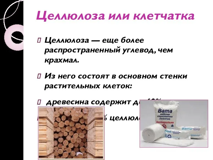 Целлюлоза или клетчатка Целлюлоза — еще более распространенный углевод, чем