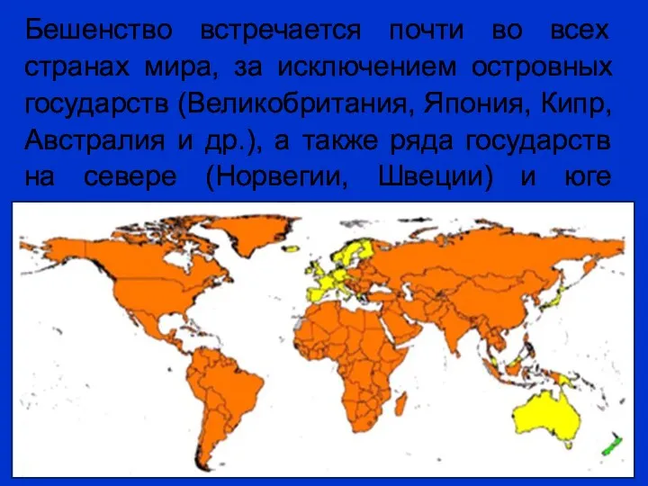 Бешенство встречается почти во всех странах мира, за исключением островных