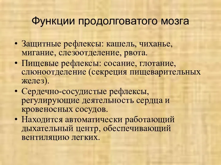 Функции продолговатого мозга Защитные рефлексы: кашель, чиханье, мигание, слезоотделение, рвота.