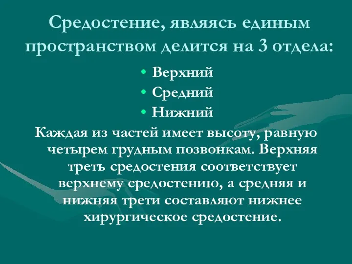 Средостение, являясь единым пространством делится на 3 отдела: Верхний Средний Нижний Каждая из