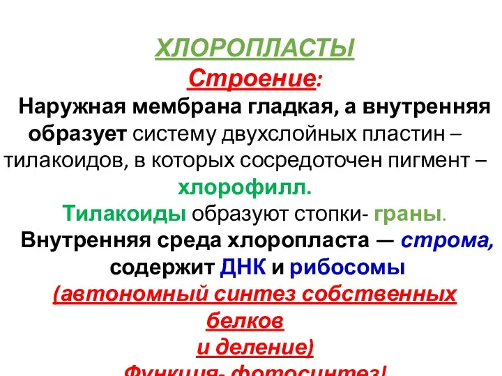 ХЛОРОПЛАСТЫ Строение: Наружная мембрана гладкая, а внутренняя образует систему двухслойных