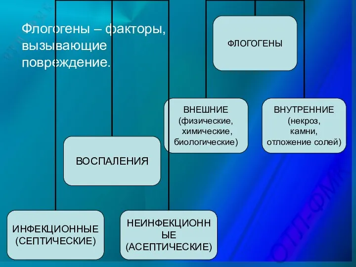 Флогогены – факторы, вызывающие повреждение.