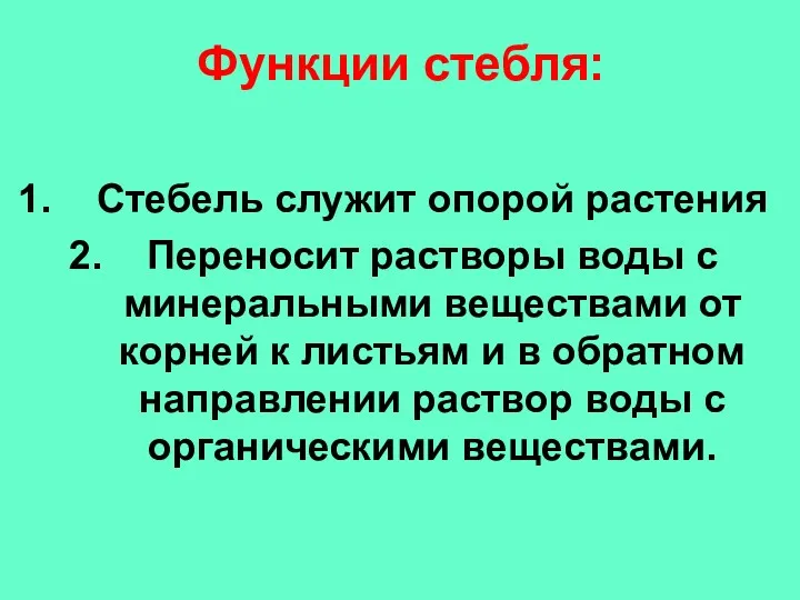 Функции стебля: Стебель служит опорой растения Переносит растворы воды с