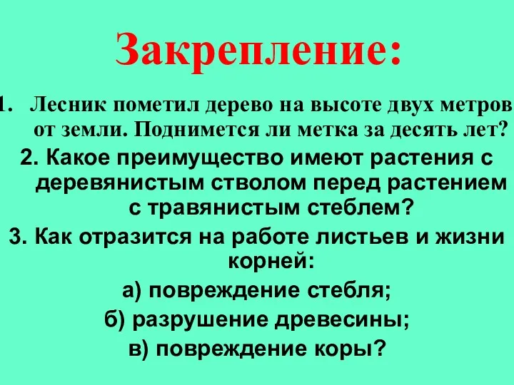 Закрепление: Лесник пометил дерево на высоте двух метров от земли.