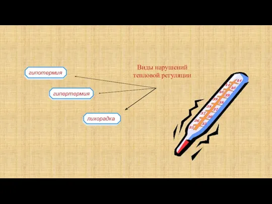 гипертермия лихорадка гипотермия Виды нарушений тепловой регуляции