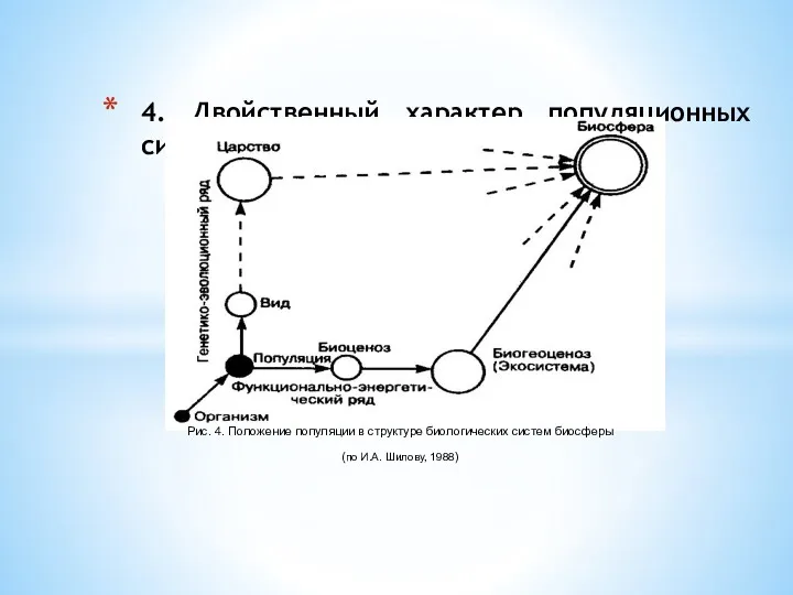 4. Двойственный характер популяционных систем