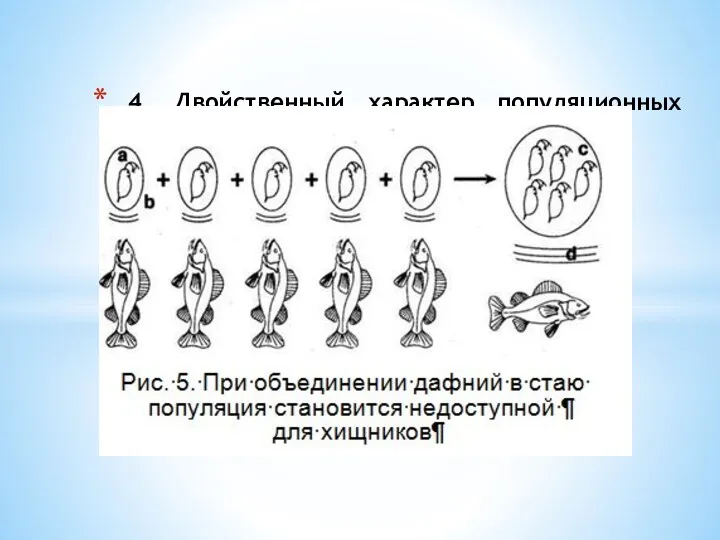 4. Двойственный характер популяционных систем