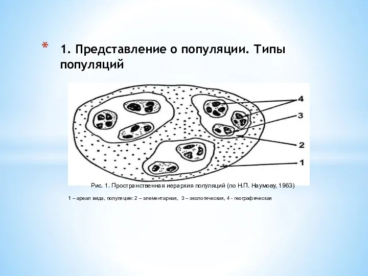 1. Представление о популяции. Типы популяций