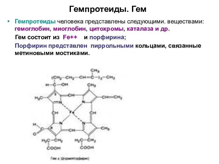 Гемпротеиды. Гем Гемпротеиды человека представлены следующими. веществами: гемоглобин, миоглобин, цитохромы, каталаза и др.