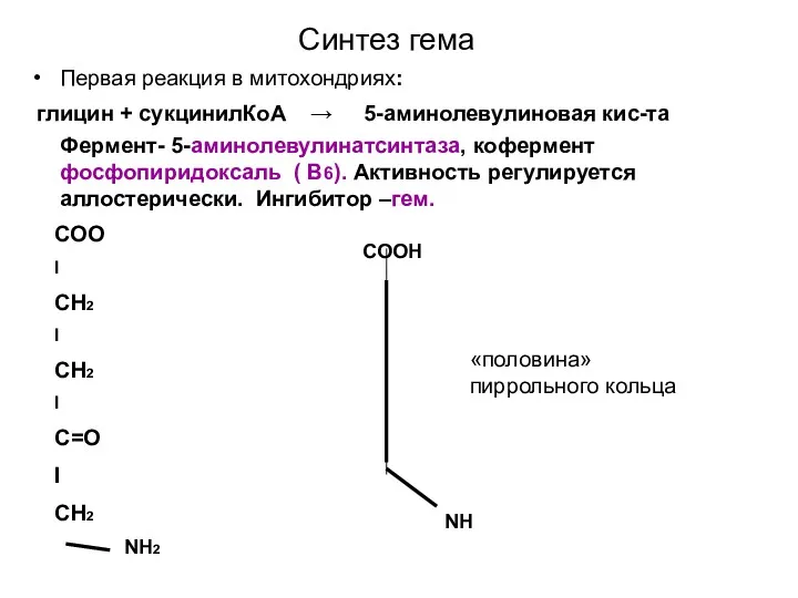 Синтез гема Первая реакция в митохондриях: глицин + сукцинилКоА → 5-аминолевулиновая кис-та Фермент-