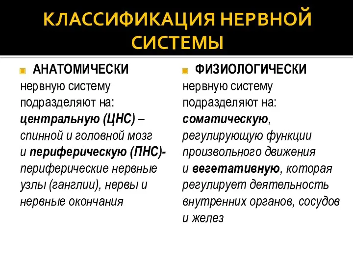 КЛАССИФИКАЦИЯ НЕРВНОЙ СИСТЕМЫ АНАТОМИЧЕСКИ нервную систему подразделяют на: центральную (ЦНC)