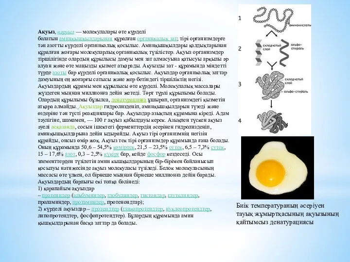 Ақуыз, нәруыз — молекулалары өте күрделі болатын аминқышқылдарынан құралған органикалық