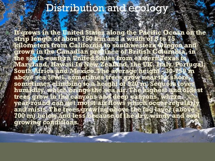 Distribution and ecology It grows in the United States along