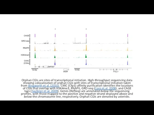 Orphan CGIs are sites of transcriptional initiation. High-throughput sequencing data