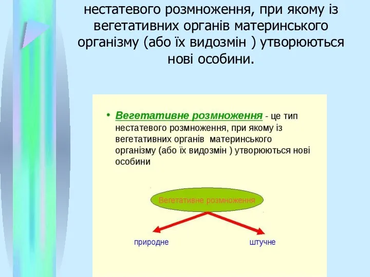 Вегетативне розмноження - це тип нестатевого розмноження, при якому із