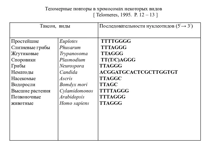 Теломерные повторы в хромосомах некоторых видов [ Telomeres, 1995. P. 12 – 13 ]