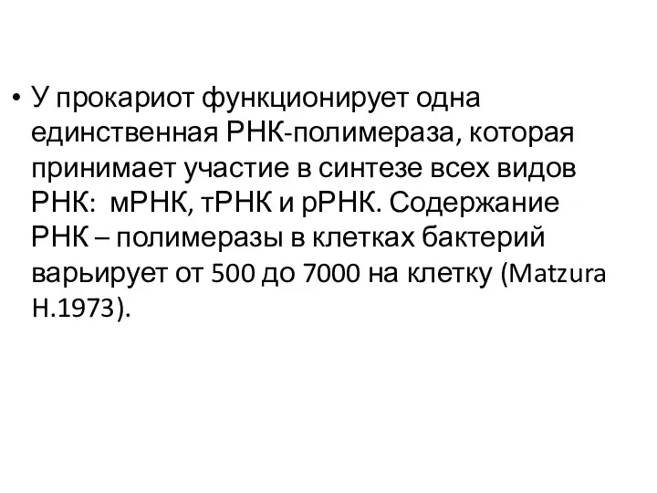 У прокариот функционирует одна единственная РНК-полимераза, которая принимает участие в