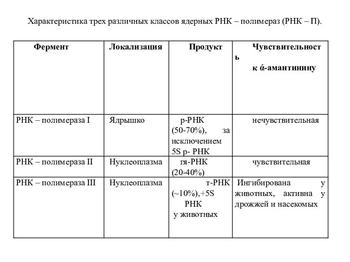 Характеристика трех различных классов ядерных РНК – полимераз (РНК – П).