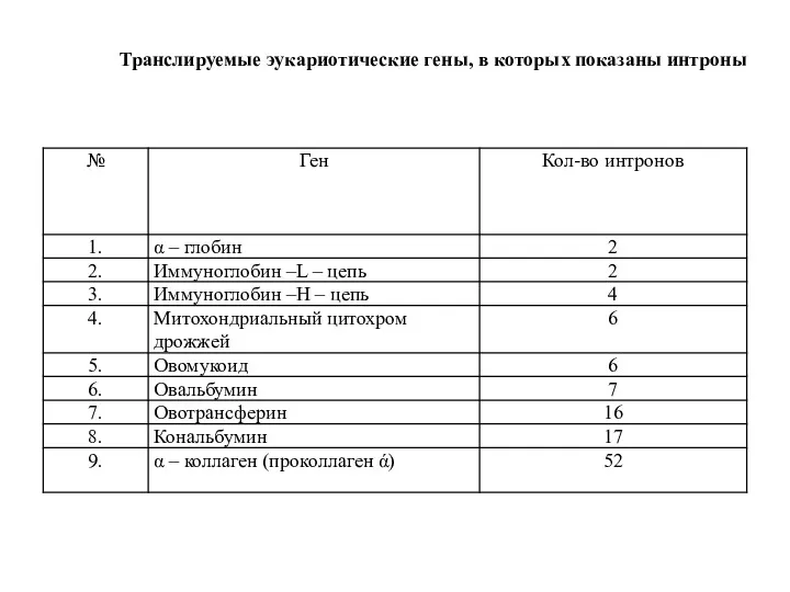 Транслируемые эукариотические гены, в которых показаны интроны