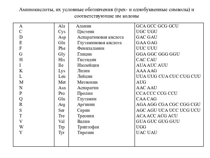 Аминокислоты, их условные обозначения (трех- и однобуквенные символы) и соответствующие им кодоны