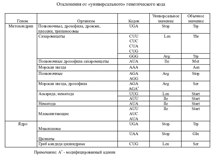 Отклонения от «универсального» генетического кода Примечание: А* - модифицированный аденин