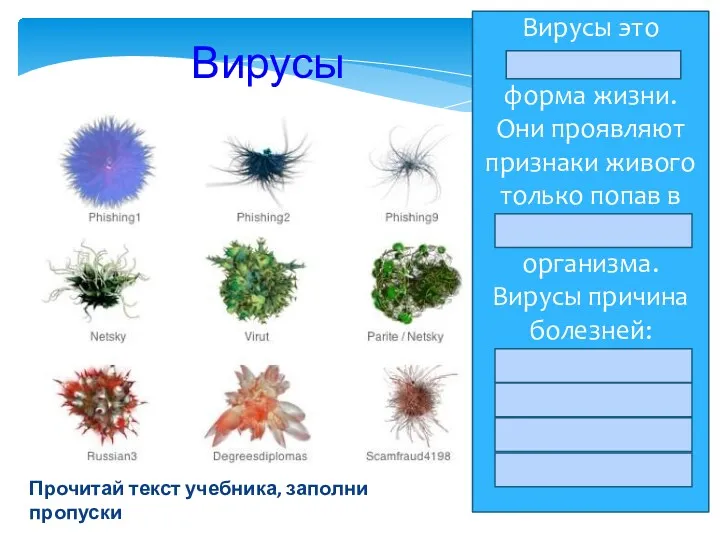 Вирусы Вирусы это неклеточная форма жизни. Они проявляют признаки живого