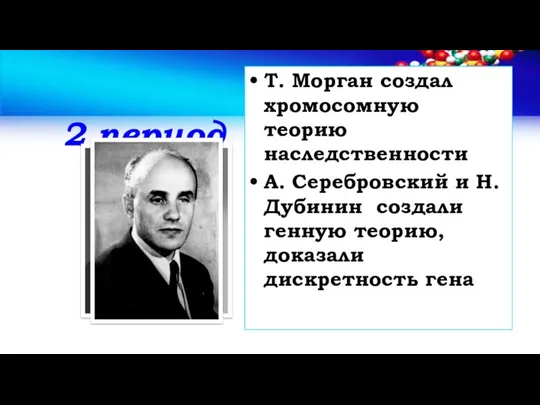 2 период Т. Морган создал хромосомную теорию наследственности А. Серебровский