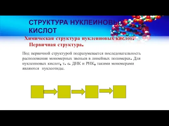 СТРУКТУРА НУКЛЕИНОВЫХ КИСЛОТ Химическая структура нуклеиновых кислот. Первичная структура. Под