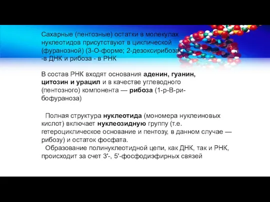 Полная структура нуклеотида (мономера нуклеиновых кислот) включает нуклеозидную группу (т.е.