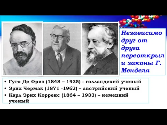 Гуго Де Фриз (1848 – 1935) - голландский ученый Эрих