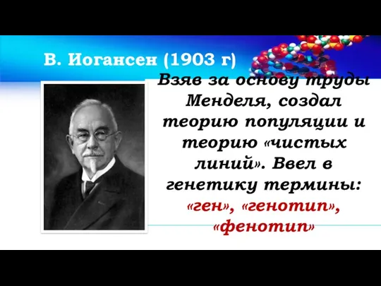 В. Иогансен (1903 г) Взяв за основу труды Менделя, создал