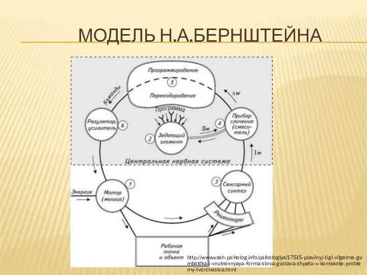 МОДЕЛЬ Н.А.БЕРНШТЕЙНА http://www.vash-psiholog.info/psihologiya/17515-plavilnyj-tigl-vilgelma-gumboldta-i-vnutrennyaya-forma-slova-gustava-shpeta-v-kontekste-problemy-tvorchestva.html