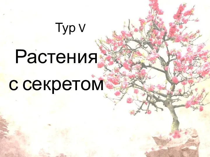 Тур V Растения с секретом