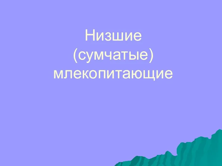 Низшие (сумчатые) млекопитающие