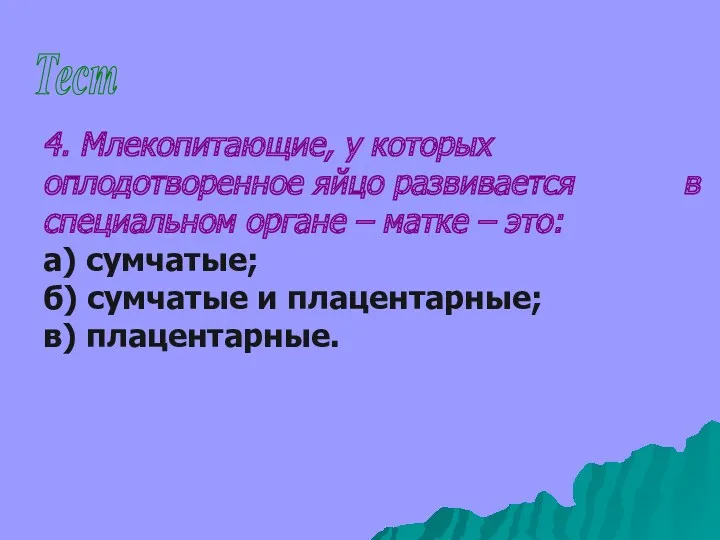 Тест 4. Млекопитающие, у которых оплодотворенное яйцо развивается в специальном