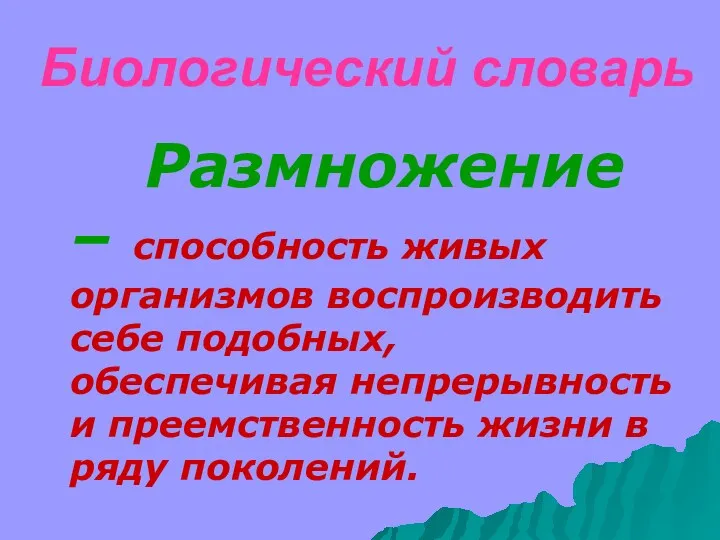 Биологический словарь Размножение – способность живых организмов воспроизводить себе подобных,