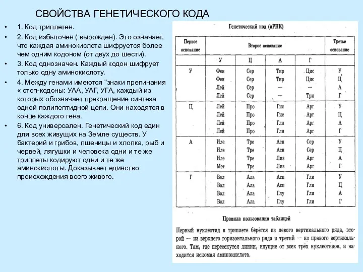 СВОЙСТВА ГЕНЕТИЧЕСКОГО КОДА 1. Код триплетен. 2. Код избыточен (