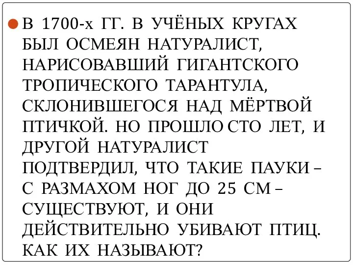 В 1700-х ГГ. В УЧЁНЫХ КРУГАХ БЫЛ ОСМЕЯН НАТУРАЛИСТ, НАРИСОВАВШИЙ