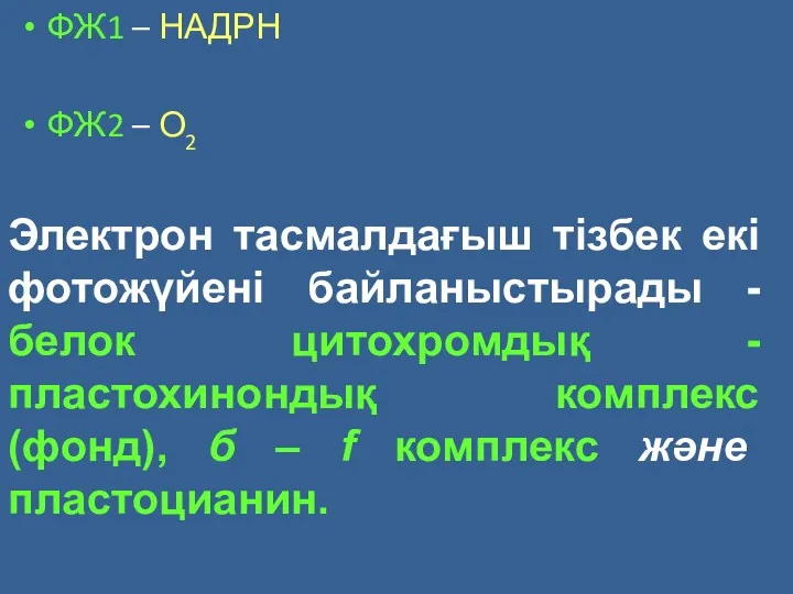 ФЖ1 – НАДРН ФЖ2 – О2 Электрон тасмалдағыш тізбек екі фотожүйені байланыстырады -