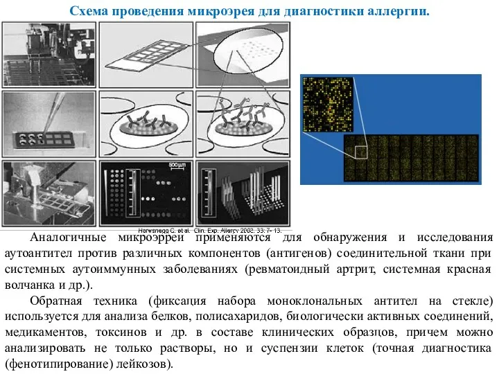 Схема проведения микроэрея для диагностики аллергии. Аналогичные микроэрреи применяются для